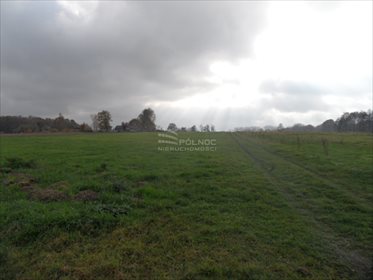 Działka rolna na sprzedaż Mikołów, Kąty, Kąty 3 260m2 Foto 2