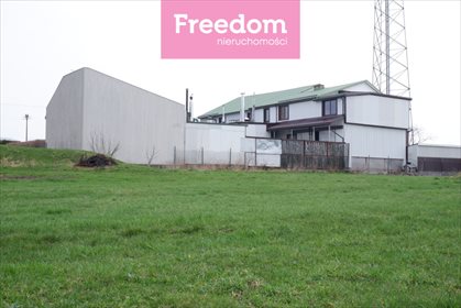 Lokal użytkowy na sprzedaż Mały Płock 900m2 Foto 4