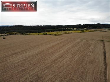 Działka inna na sprzedaż Krzewie Małe 7 600m2 Foto 5