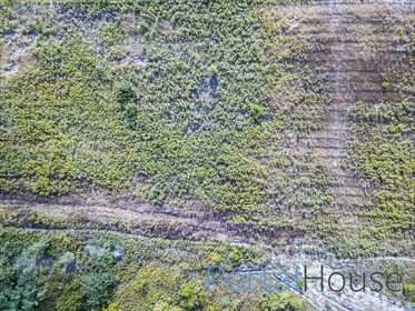 działka na sprzedaż 9200m2 działka Nieporęt