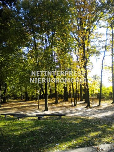 Lokal użytkowy na sprzedaż Dąbrówka Wielkopolska 4 500m2 Foto 5