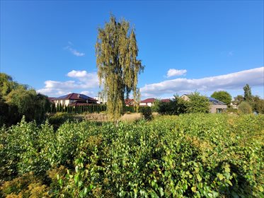 działka na sprzedaż 1585m2 działka Warszawa, Ursynów, Kabaty, Relaksowa