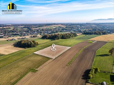 działka na sprzedaż 10095m2 działka Międzyrzecze Dolne