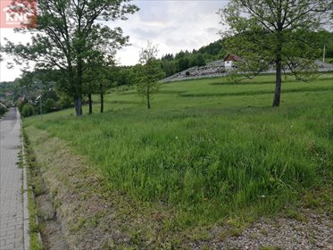 Działka budowlana na sprzedaż Hucisko 2 300m2 Foto 3