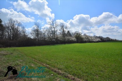Działka rolna na sprzedaż Uzarzewo, Katarzynki 16 100m2 Foto 1