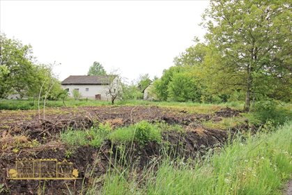 Działka rolna na sprzedaż Tempoczów-Kolonia 23 000m2 Foto 6