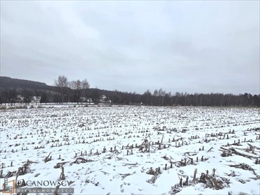 działka na sprzedaż 31731m2 działka Owczary