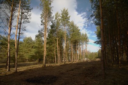 działka na sprzedaż 1100m2 działka Wierzchosławice