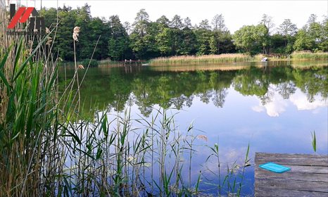 Działka rekreacyjna na sprzedaż Lutobórz 3 000m2 Foto 2