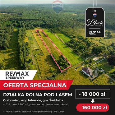 działka na sprzedaż 7900m2 działka Grabowiec