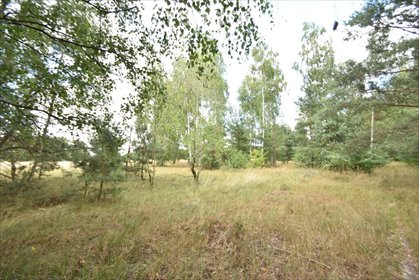 działka na sprzedaż 14800m2 działka Rembów