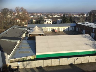 lokal użytkowy na sprzedaż 1600m2 lokal użytkowy Śrem, Mickiewicza