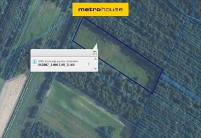 działka na sprzedaż 11000m2 działka Ujazdów