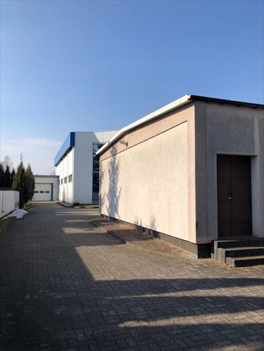 Magazyn na wynajem NADARZYN/ KAJETANY, BRZOZOWA 42A 2 800m2 Foto 4