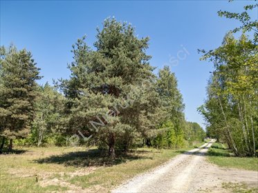 Działka 3000 m2 pod lasem z mediami i planem, Radonie działka Radonie