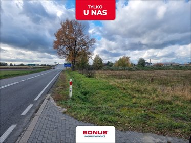 działka na sprzedaż 10200m2 działka Pełczyska