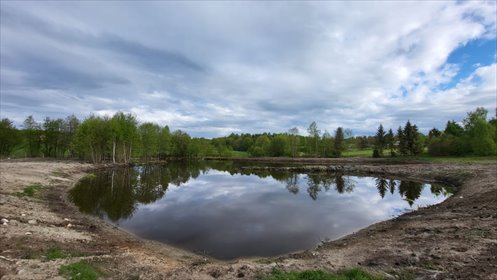 działka na sprzedaż 15588m2 działka Skarszewy, Skarszewy, Tęczowa Szczodrowo