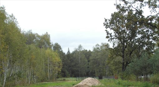 Działka budowlana na sprzedaż Sobienki 3 000m2 Foto 2