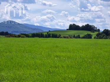 działka na sprzedaż 945m2 działka Międzyrzecze Górne