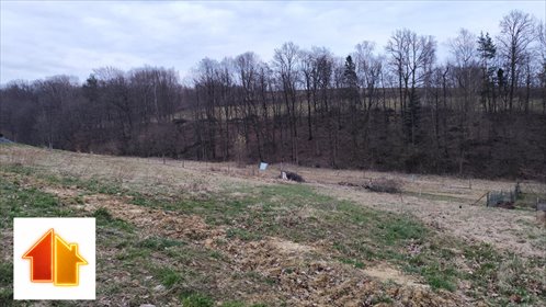 działka na sprzedaż 2556m2 działka Błędowa Tyczyńska