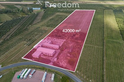 magazyn na sprzedaż 42000m2 magazyn Broniszew