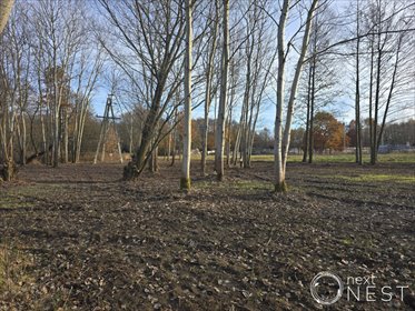 Działka 4461 m2 pod zabudowę ekstensywną i deweloperską działka Siedliska, Francuska