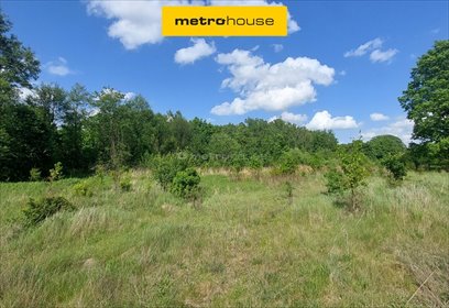 Działka usługowo-przemysłowa 4600 m² z dobrym dojazdem działka Lubicz Dolny