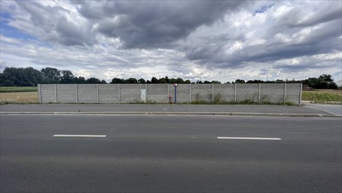 Działka inwestycyjna pod dzierżawę Luboń, Lasek 2 000m2 Foto 3