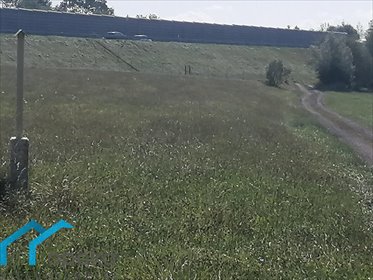 Działka rolna na sprzedaż Łączka, Wierzbowa 20 000m2 Foto 4