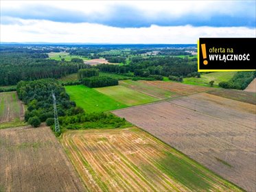 działka na sprzedaż 9952m2 działka Promnik