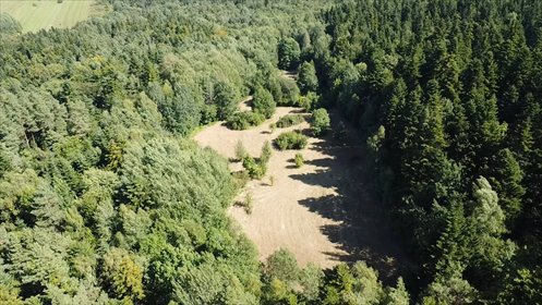 Działka siedliskowa 1,92 ha w Sękowej (las, prywatność) działka Sękowa