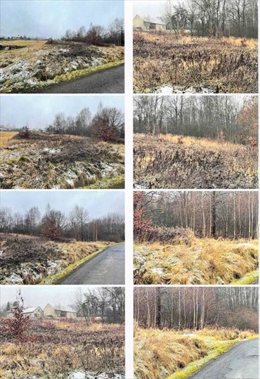 działka na sprzedaż 2410m2 działka Olszowice