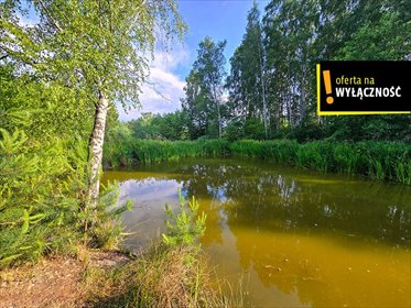 Urokliwe działki z stawem i lasem w Żukowie działka Żuków
