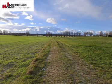 działka na sprzedaż 490000m2 działka Janiewice