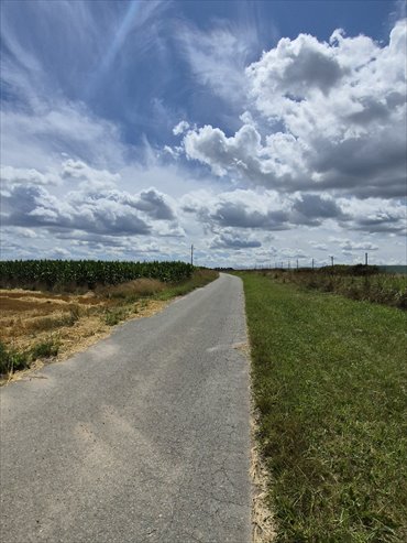 działka na sprzedaż 4300m2 działka Łany Wielkie, Łabędzka