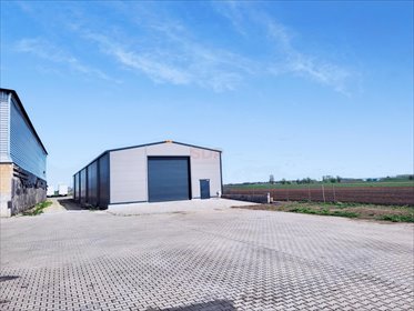 lokal użytkowy na wynajem 600m2 lokal użytkowy Chrzanów