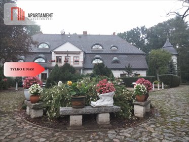 lokal użytkowy na wynajem 25000m2 lokal użytkowy Wziąchowo Wielkie