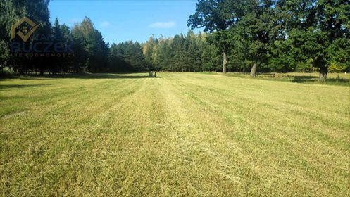 Działka 4885 m² z warunkami zabudowy i mediami działka Lasocin