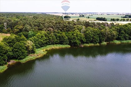 działka na sprzedaż 31500m2 działka Buszewo