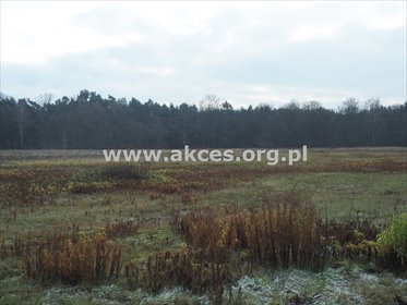 działka na sprzedaż 13200m2 działka Emów