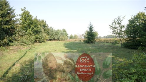 działka na sprzedaż 1607m2 działka Gołąb