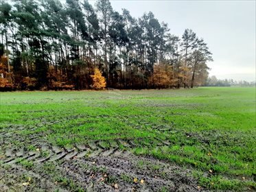 Działka rekreacyjna na sprzedaż Mianów 1 771m2 Foto 6