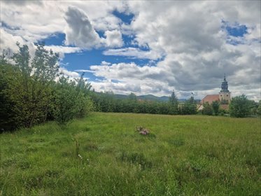 działka na sprzedaż 5500m2 działka Sosnówka, Liczyrzepy