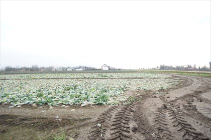 działka na sprzedaż 3240m2 działka Sośnica, Sośnica