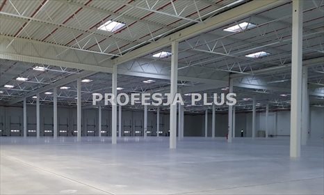 lokal użytkowy na wynajem 4800m2 lokal użytkowy Chorzów