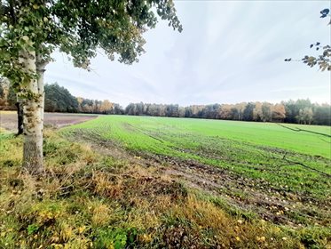 Działka rekreacyjna na sprzedaż Mianów 2 828m2 Foto 6