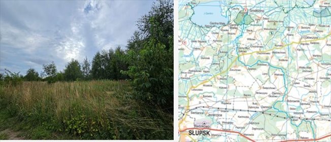 działka na sprzedaż 1436m2 działka Główczyce