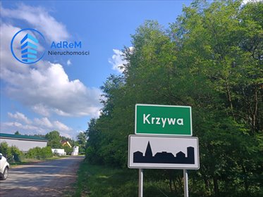 działka na sprzedaż Krzywa 3473 m2