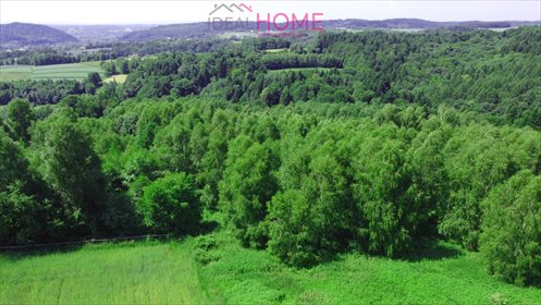 Działka rekreacyjna na sprzedaż Pstrągówka 6 900m2 Foto 3