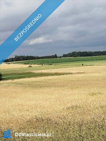 Do sprzedania działka 25 000 m² z sadzawką i potencjałem działka Sokółka